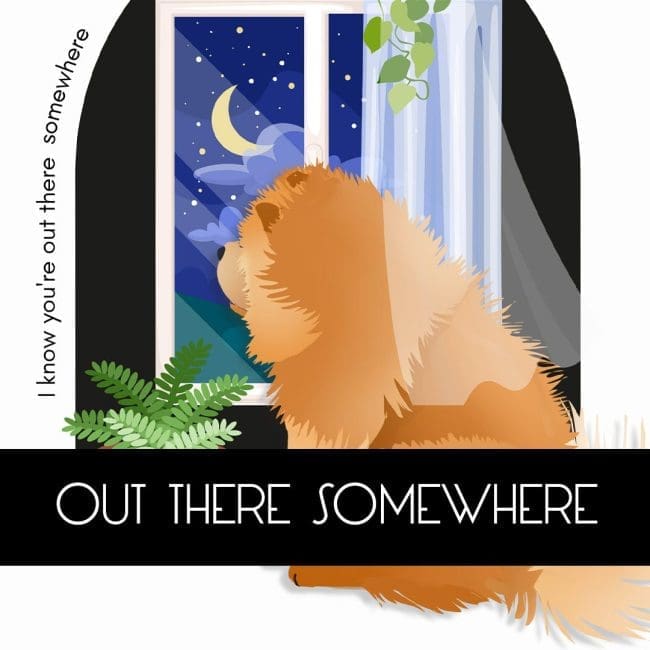 NEW Chow curated Collection – “I KNOW YOU’RE OUT THERE SOMEWHERE”