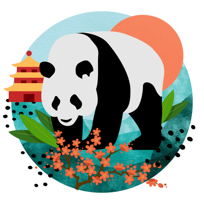 BAO SHI- NEW  PANDA DESIGN