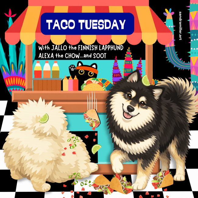 TACO TUESDAY WITH JALLO & ALEXA