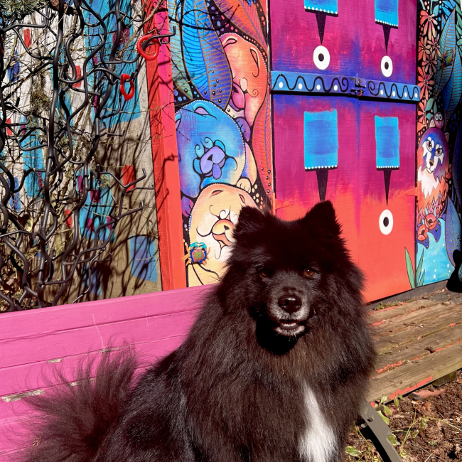 A Bio just for Ihana is now on the website!