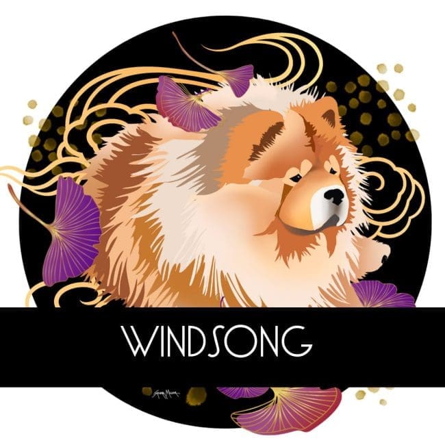 WINDSONG- new release,   and a beautiful dreamcatcher auction closing today