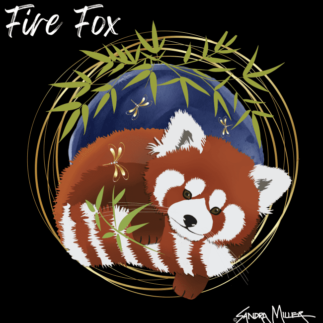 FIRE FOX – new illustration and red panda adventures