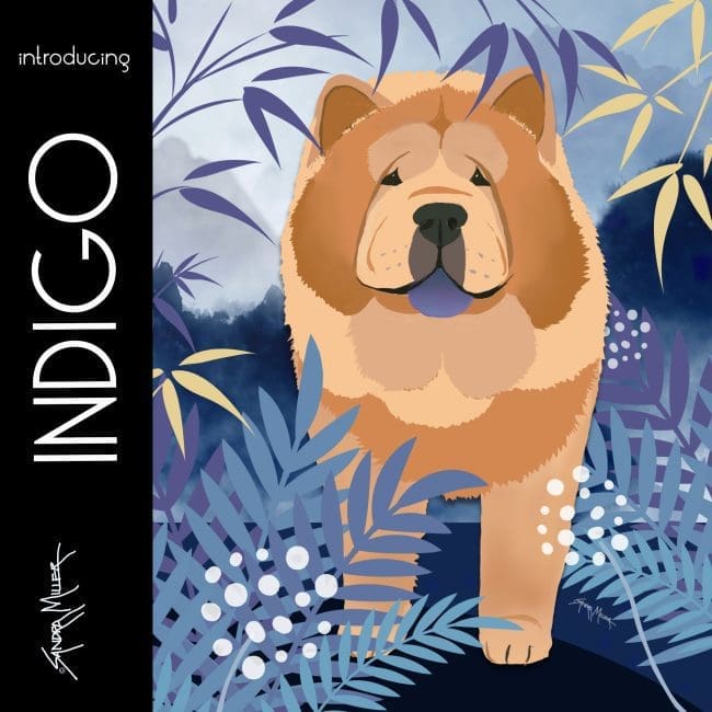 NEW NEW NEW- Smooth Chow artwork in my Zazzle Boutique