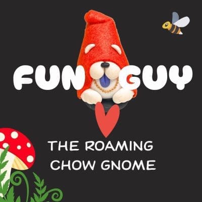 FUN GUY the roaming CHOW GNOME