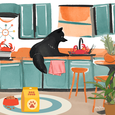 A Finnish Lapphund's Tale of Culinary Joy