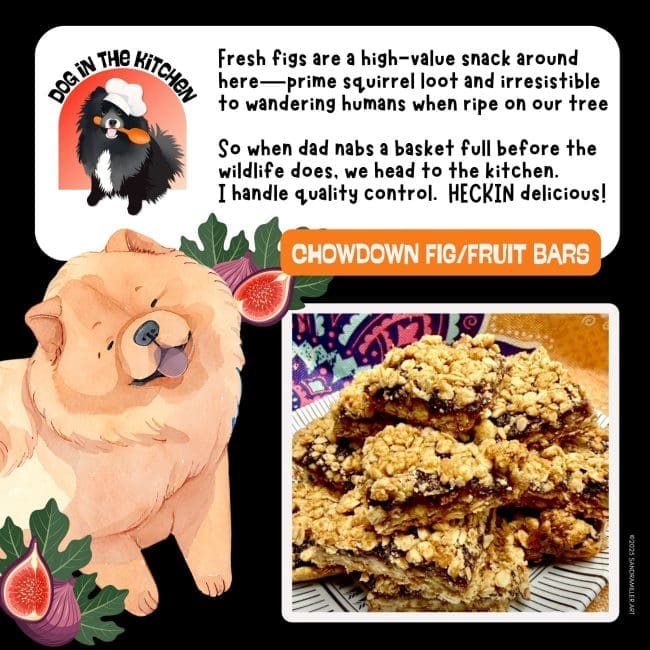 HOLIDAY FREEBIE-Fig Bars in the Studio